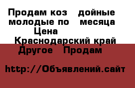 Продам коз 2 дойные 2 молодые по 4 месяца › Цена ­ 15 000 - Краснодарский край Другое » Продам   